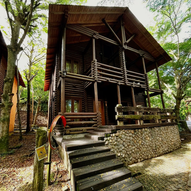 A Forest Sanctuary of Indulgence and Escape