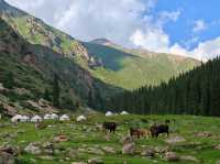 10 days Kyrgyzstan tour