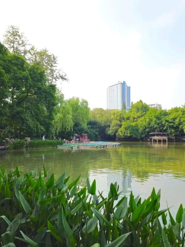 Beautiful park I want to visit every day