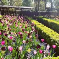 Holland Park of Kensington