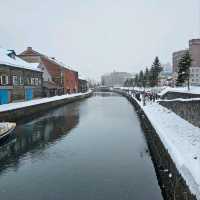 Charming Otaru Escape: 2-day Cultural & Culinary Journey from Sapporo