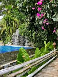 Nature Moments at Villa Escudero