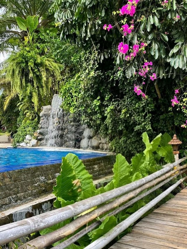 Nature Moments at Villa Escudero
