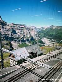 GRINDELWALD?😍