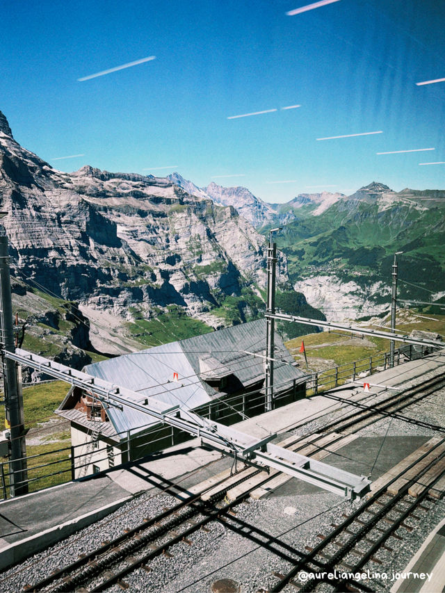 GRINDELWALD?😍