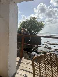 A Stay at Dreamsea Surf Camp Bali 