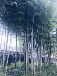 【入場無料の世田谷区立岡本公園民家園と　岩崎家廟堂、静嘉堂文庫財団のクラシカルな建物】