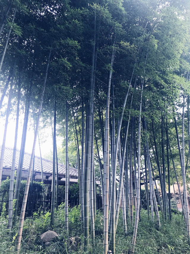 【入場無料の世田谷区立岡本公園民家園と　岩崎家廟堂、静嘉堂文庫財団のクラシカルな建物】