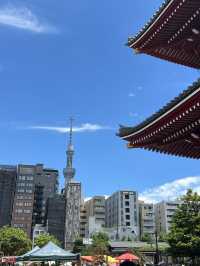 Tokyo 6 Days Travel Guide 