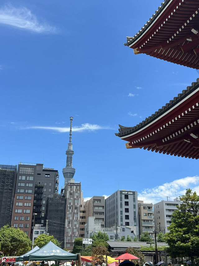 Tokyo 6 Days Travel Guide 