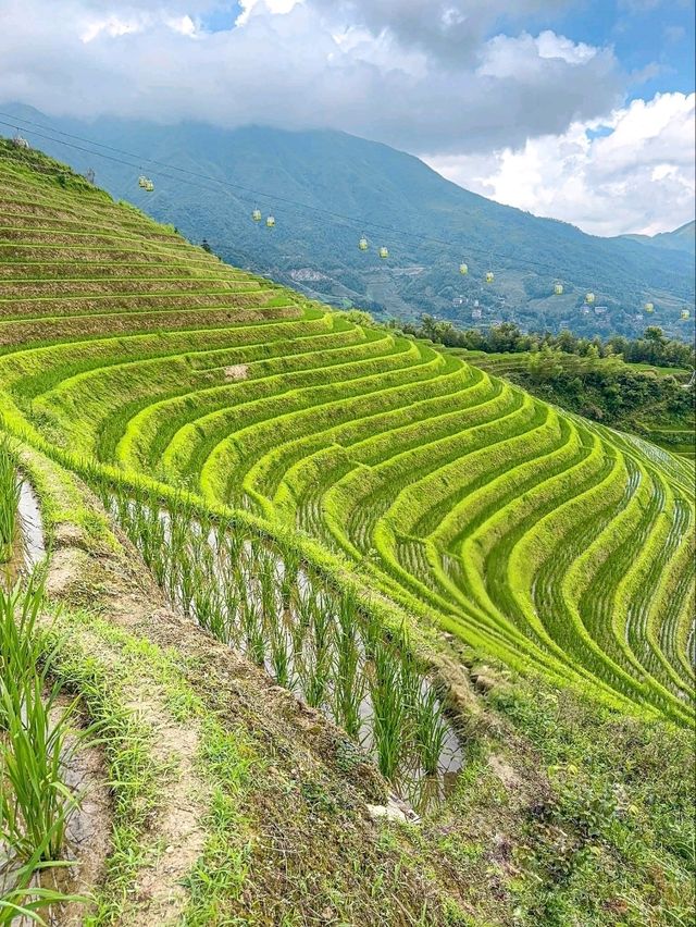 “The Dragon’s Green Staircase”