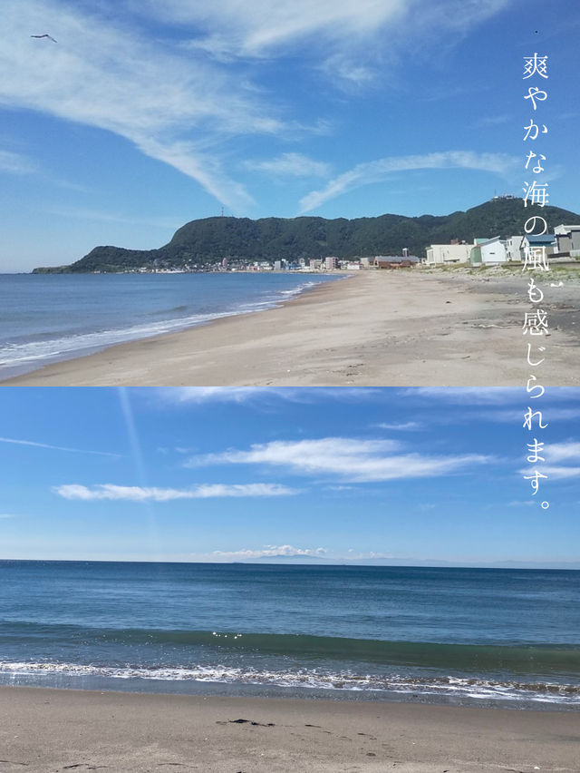 【北海道・函館】避暑旅に最適！夜景だけじゃない見どころ満載の街！