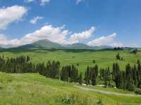Mengteke Ancient Road: Discovering Nature's Splendor