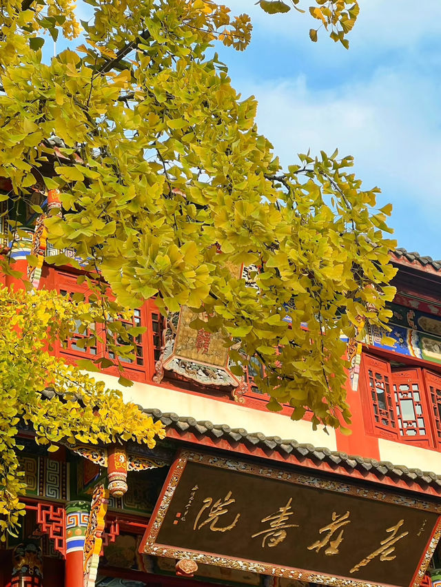 🍂พระอาทิตย์อาบแสง ณ วัดชิงหยางกง ความสงบใจกลางเฉิ