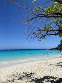 🌴✨ Similan Islands – Paradise Found!