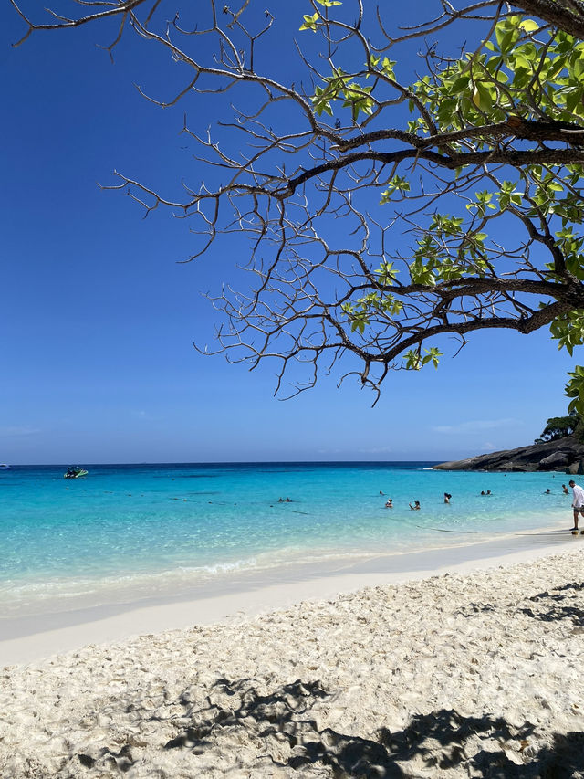 🌴✨ Similan Islands – Paradise Found!