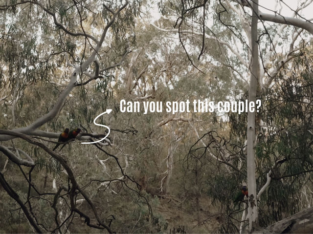 Walking to 5 Secret Hidden Spots in Melbourne