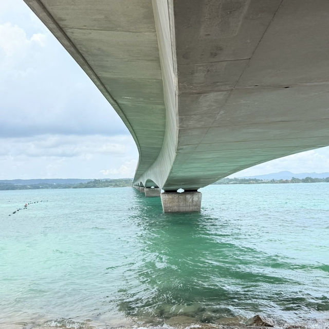 Kouri Island: Okinawa’s Tiny Paradise – A Solo Traveler’s Day Trip Dream"** 🌊🌴 