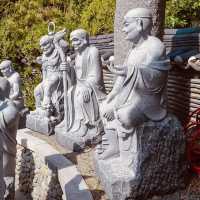 Haedong Yonggungsa: Busan’s Coastal Temple Sanctuary – A Solo Traveler’s Spiritual Escape"** 🌊🏯  