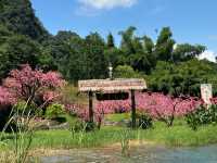 Flow with the River, Stay for the Peaks: Yangshuo Awaits