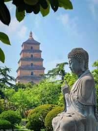 🏯 A Timeless Encounter at the Giant Wild Goose Pagoda — Where History Meets Harmony