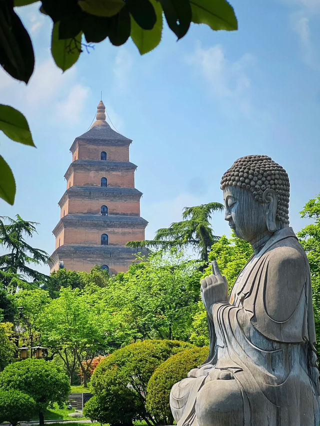 🏯 A Timeless Encounter at the Giant Wild Goose Pagoda — Where History Meets Harmony