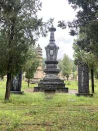 🥋🌄 The Magic of Shaolin Temple: More Than Just Kung Fu