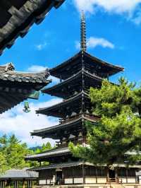 🦌 Deer, Temples & Tranquility: Nara Day Trip Under RM100!