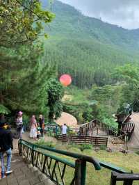 The Lodge Woodland
