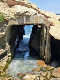 🌴La Jolla Cove – California’s Most Beautiful Beach Unleashed!🌊