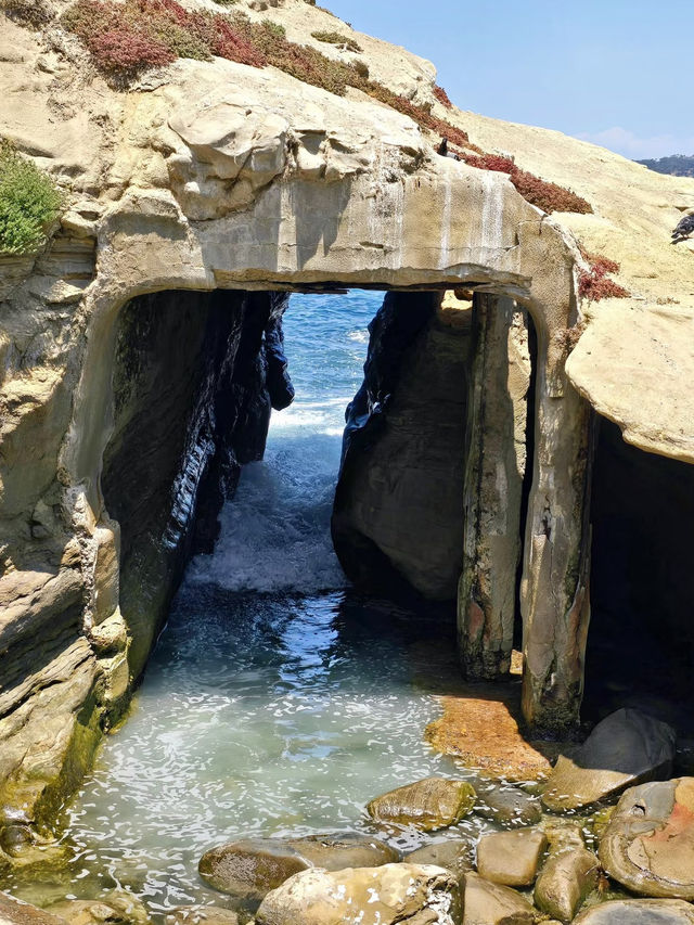 🌴La Jolla Cove – California’s Most Beautiful Beach Unleashed!🌊