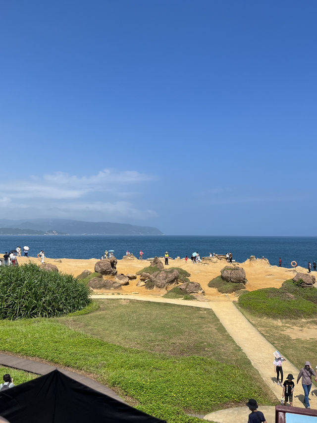 🍄Alien Landscape in Taiwan? Welcome to Yehliu's Mushroom Rocks!