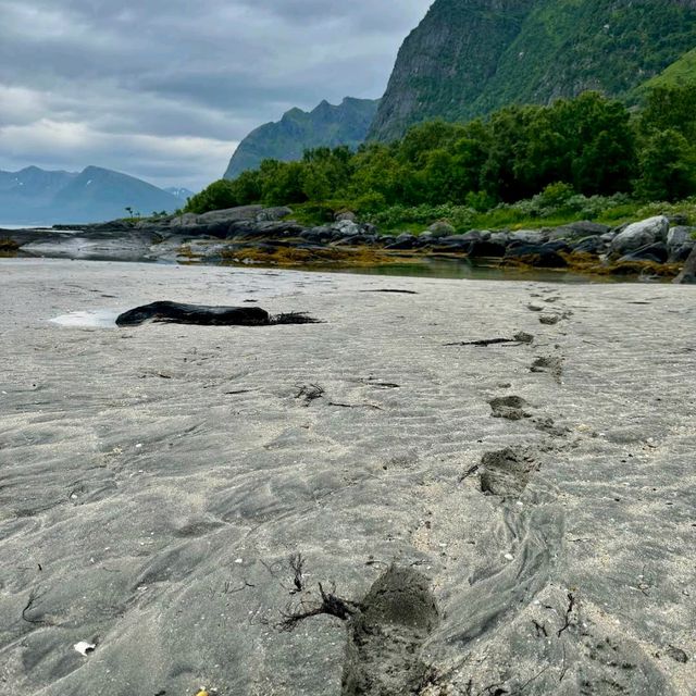 Lofoten Islands – Norway
