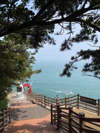 🌊 푸른 절벽과 바다의 조화, 영도 태종대