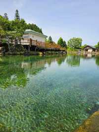 透明な池に映る空と緑💧自然がくれた癒しの名水スポット🌿