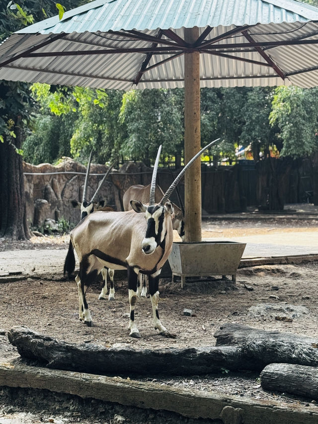 Saigon Zoo