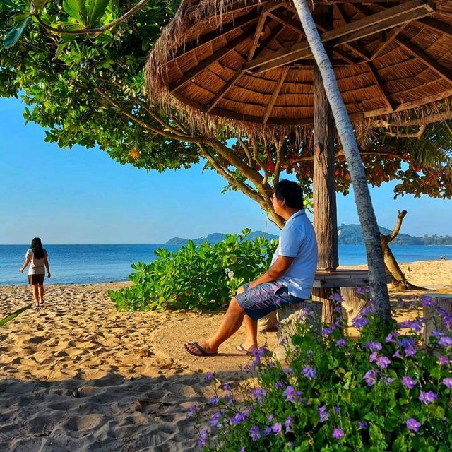 ชายหาดที่มีดอกไม้สีม่วง