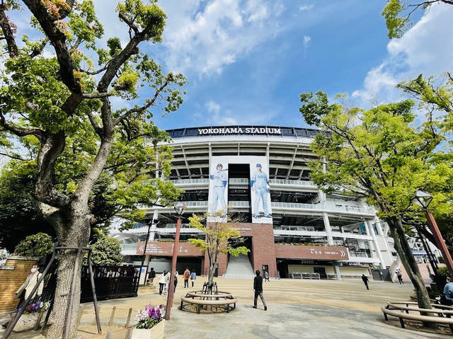 When in Yokohama Park🌷