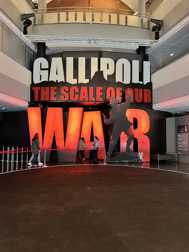 🏛️ Te Papa 國立博物館｜一趟擁抱自然與文化的旅程