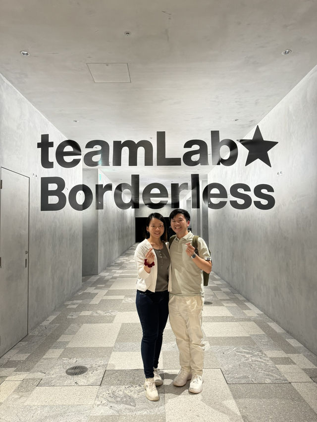 Enchanting World of Digital Art— TeamLab Borderless Tokyo 