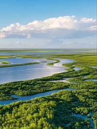 Beyond the City: Hohhot’s Endless Green Horizons