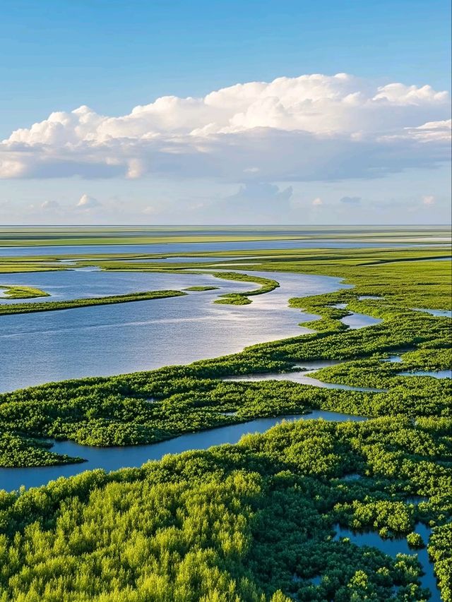 Beyond the City: Hohhot’s Endless Green Horizons Beyond the City: Hohhot’s Endless Green Horizons