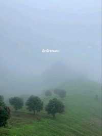 ที่พักบนดอยม่อนเงาะ ⛰️ หลงใหลโฮมเสตย์ , เชียงใหม่