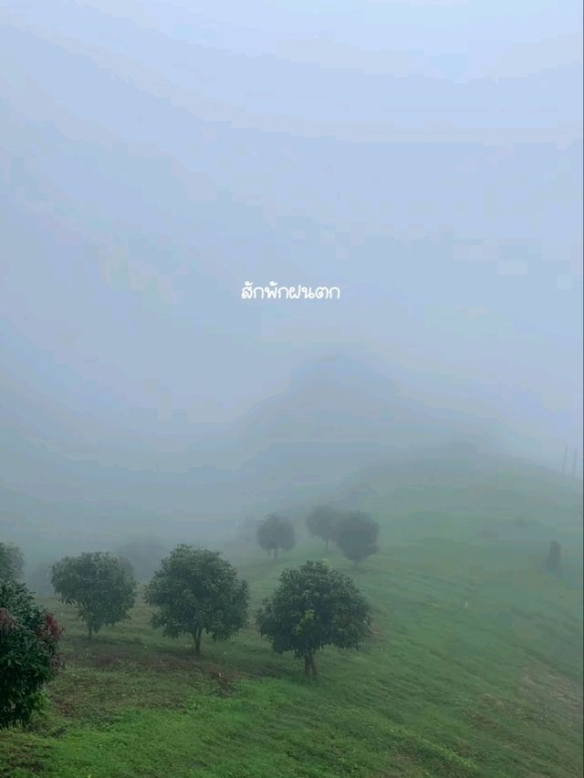 ที่พักบนดอยม่อนเงาะ ⛰️ หลงใหลโฮมเสตย์ , เชียงใหม่ ที่พักบนดอยม่อนเงาะ ⛰️ หลงใหลโฮมเสตย์ , เชียงใหม่