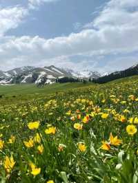 Nalati: Where Mountains Touch the Sky and Meadows Touch the Soul