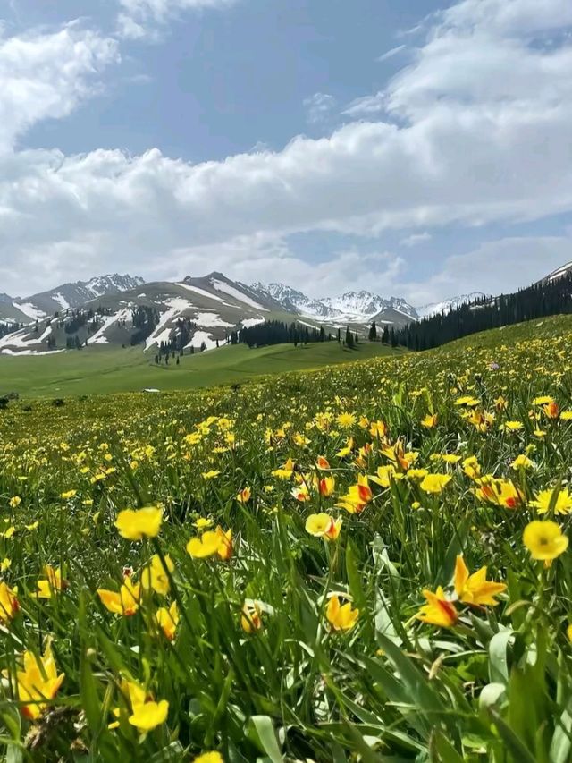 Nalati: Where Mountains Touch the Sky and Meadows Touch the Soul