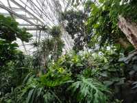 Shanghai Botanical Garden