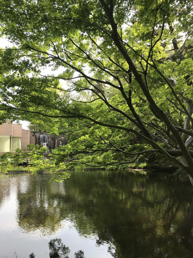 💧🏞️水と音がつなぐ非日常──品川・御殿山庭園の滝散歩 💧🏞️水と音がつなぐ非日常──品川・御殿山庭園の滝散歩