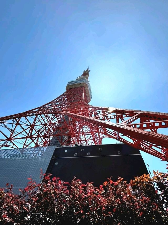 Stunning Sights of Tokyo Tower