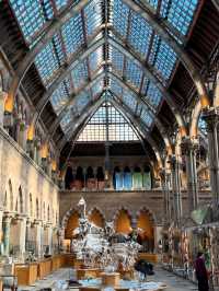 FREE entry, another amazing museum in Oxford, opened in 1860, was established to consolidate the university's scattered scientific collections and facilities into a single, purpose built space.